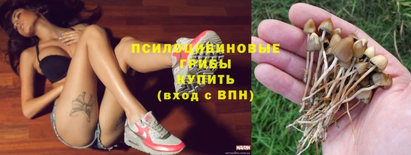 дмт Балахна