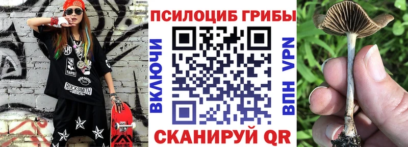 как найти закладки  Заозёрск  Псилоцибиновые грибы Cubensis 